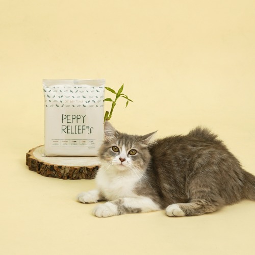 [페피릴리프] 고양이 대나무 바디티슈 4+1팩 (무향) 뱀부원단